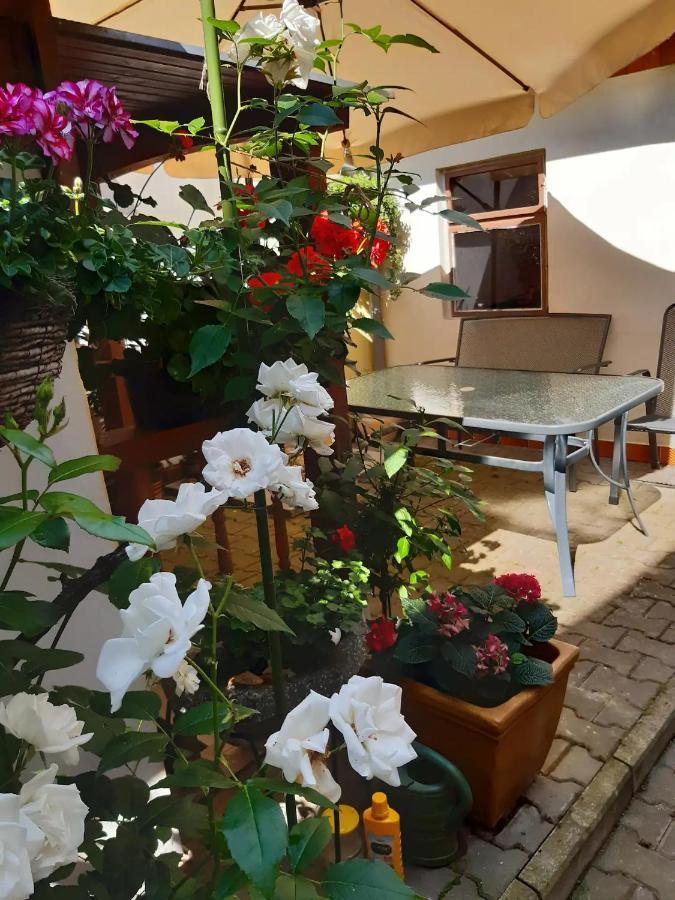 U Pani Malirky Apartment Валтис Екстериор снимка