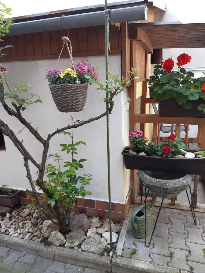 U Pani Malirky Apartment Валтис Екстериор снимка
