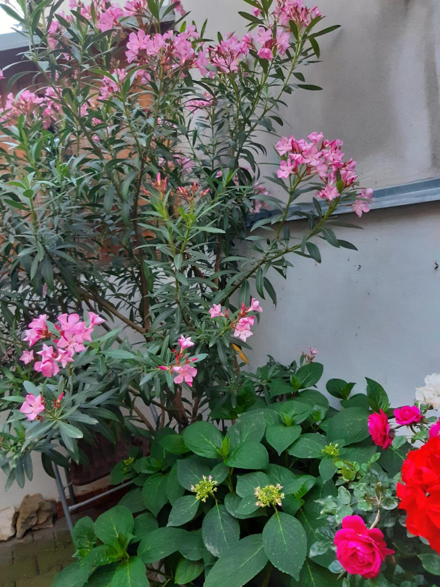 U Pani Malirky Apartment Валтис Екстериор снимка